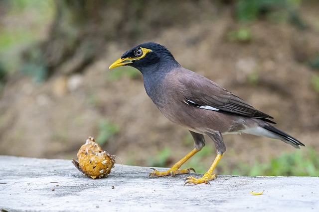 Foto do arquivo: fornecida por 【resultado mega sena 1640】