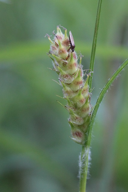 loterias cassino