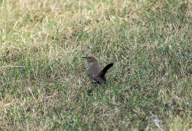 Foto do arquivo: fornecida por 【resultado jogo bicho dia】