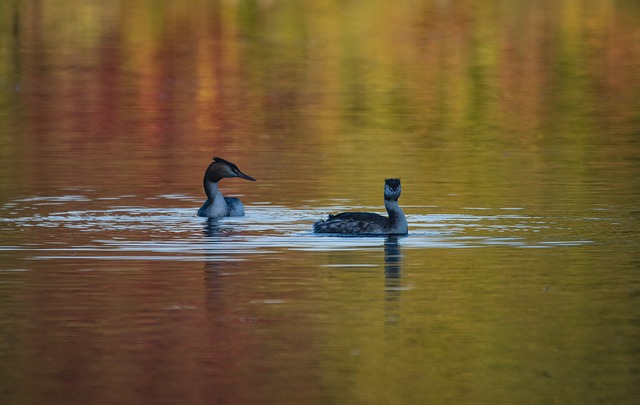 ceramica cleopatra x al-mokawloon