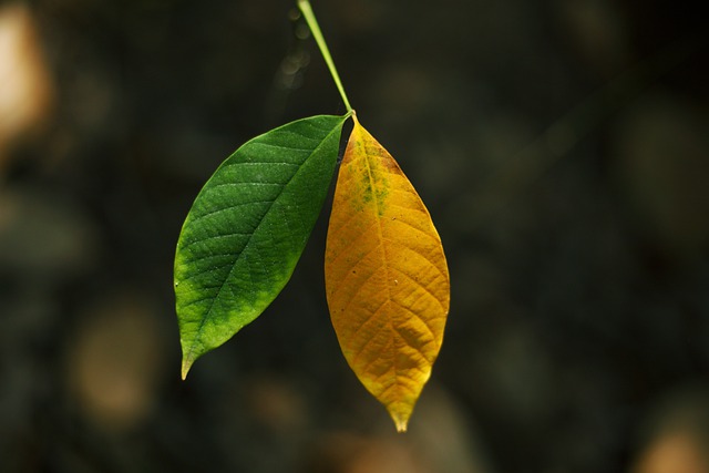 Foto do arquivo: fornecida por 【resultado da lotofácil do dia 10 11】