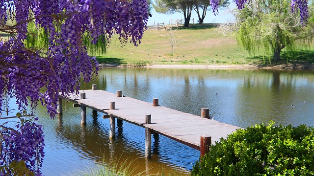 quais são as dezenas do jacaré