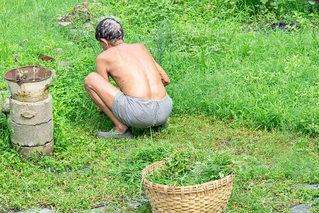 jogo fogo e agua