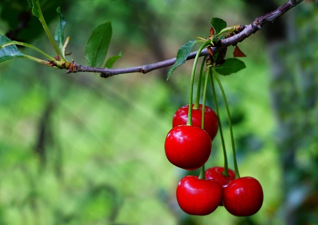 Foto do arquivo: fornecida por 【luckyland】