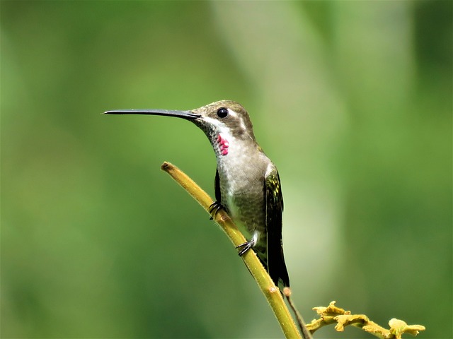 Foto do arquivo: fornecida por 【brx aposta】