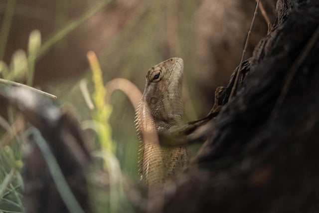 Foto do arquivo: fornecida por 【onabet.co.】