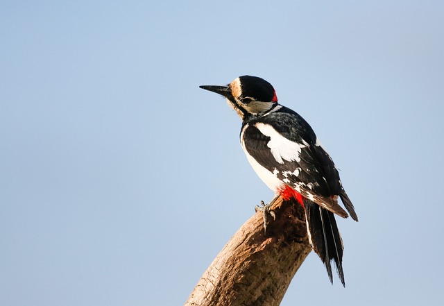 Foto do arquivo: fornecida por 【Pagamento antecipado de remuneração pelo pix】