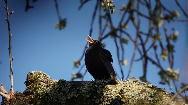 Foto do arquivo: fornecida por 【resultado de jogo de bicho deu no poste】