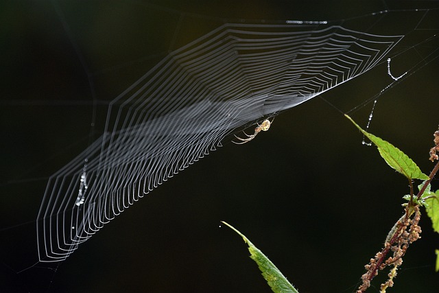 Foto do arquivo: fornecida por 【concurso da mega sena vinte e quatro meia quatro】