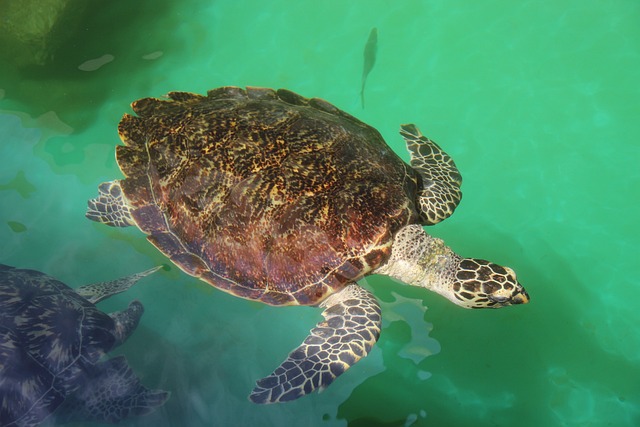 Foto do arquivo: fornecida por 【App que remunera inscrição imediata via pix】