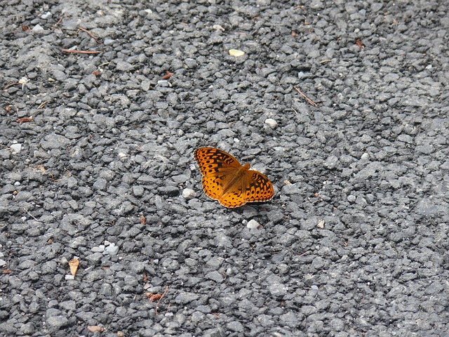 Foto do arquivo: fornecida por 【resultado da quina deste sabado】