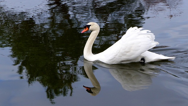 Foto do arquivo: fornecida por 【bicho no poste】