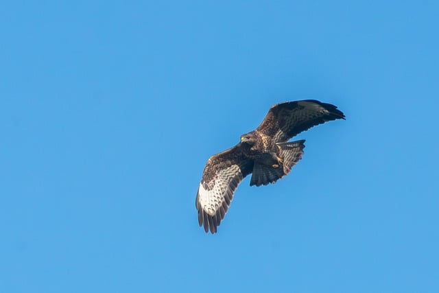 Foto do arquivo: fornecida por 【queria o número da lotofácil】