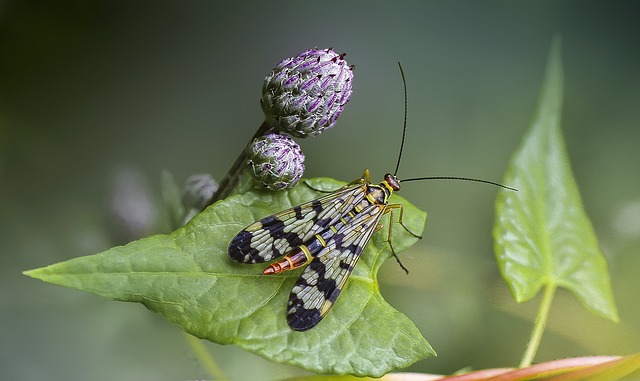 Foto do arquivo: fornecida por 【resultado mega sena 04 04 2019】