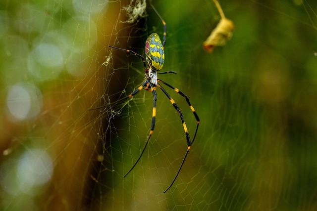 Foto do arquivo: fornecida por 【Resultado da Quina desta edição】