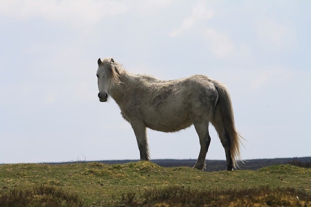 Foto do arquivo: fornecida por 【168 slot pg】