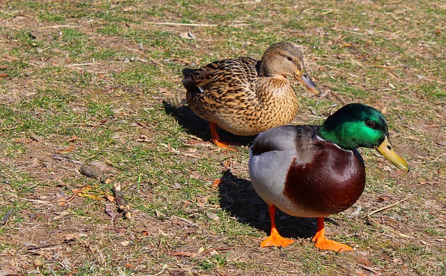 Foto do arquivo: fornecida por 【resultado da quina de são joão caixa】