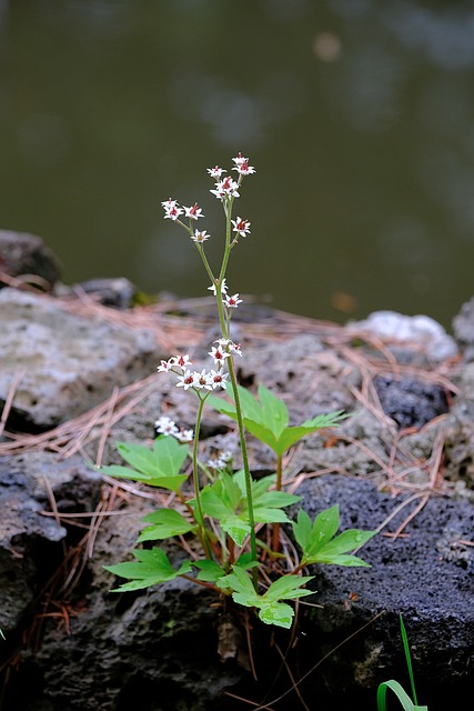 Foto do arquivo: fornecida por 【resultado do bingo amazonas da sorte】