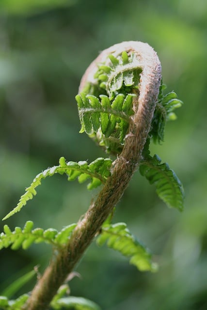 Foto do arquivo: fornecida por 【resultado da lotofácil de hoje ao vivo】