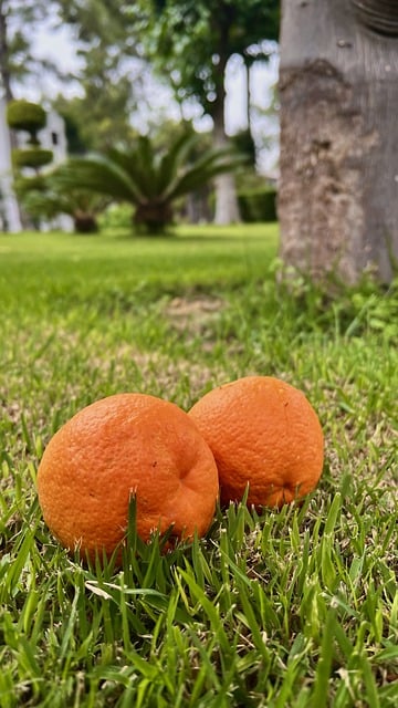 Foto do arquivo: fornecida por 【critério para doar sangue】