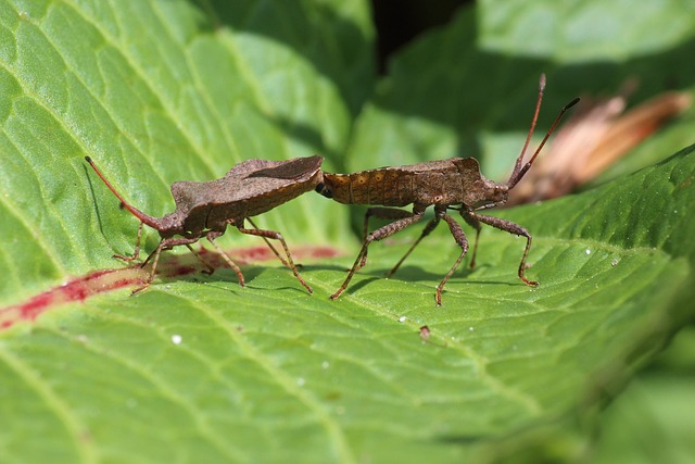 Foto do arquivo: fornecida por 【Sistema com créditos grátis no cadastro】