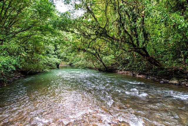 Nova aplicação que oferece lucros elevados hoje