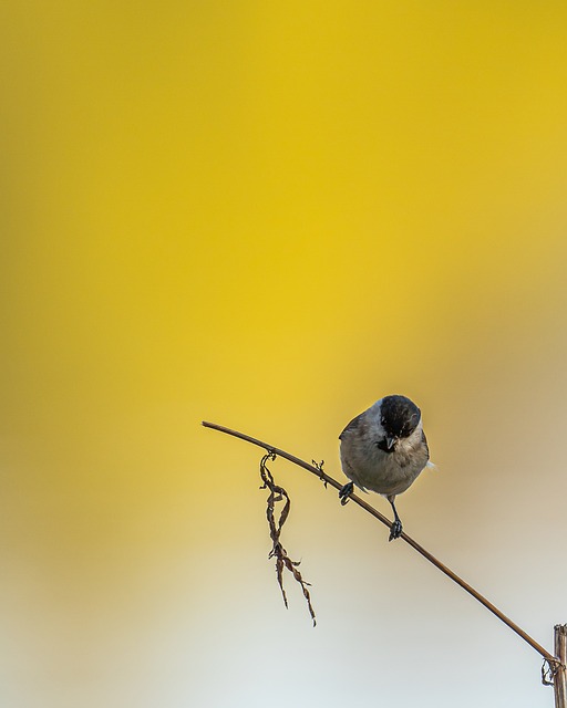 Foto do arquivo: fornecida por 【resultado da loteria dos sonhos de 11 20】