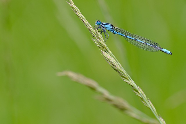 Foto do arquivo: fornecida por 【quina 5811】