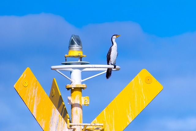 Foto do arquivo: fornecida por 【Plataforma prática divulgada hoje】