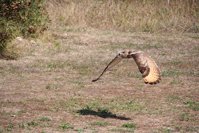 Foto do arquivo: fornecida por 【Resultado da disputa de hoje】