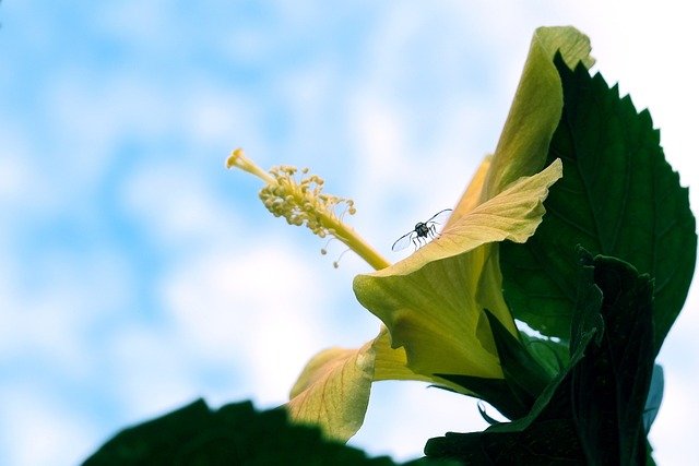 Foto do arquivo: fornecida por 【signo de gêmeos pra hoje】