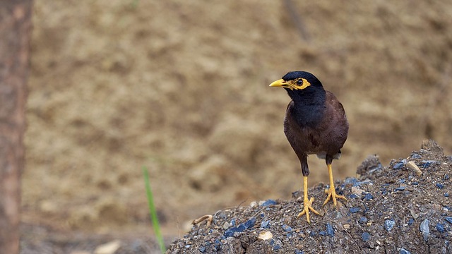 Foto do arquivo: fornecida por 【resultado do concurso da loteria federal】