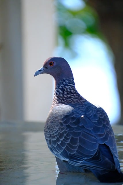 valor da aposta lotofácil da independência