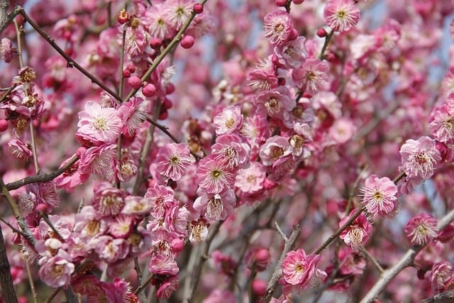 Foto do arquivo: fornecida por 【sonhar com perfume jogo do bicho】