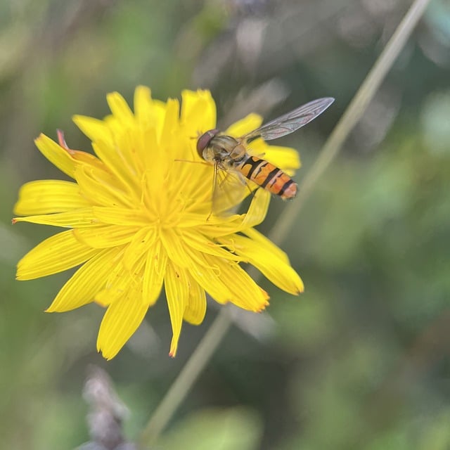 Foto do arquivo: fornecida por 【love pix】