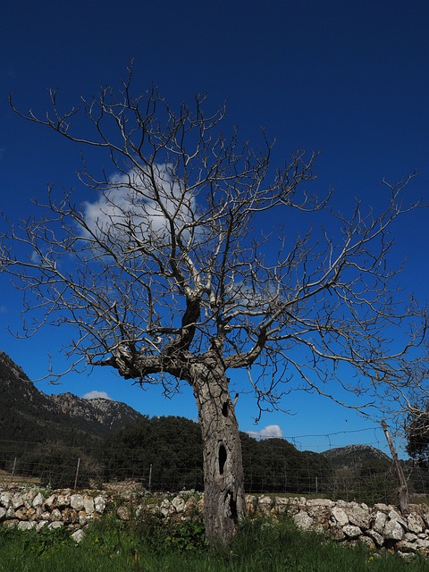 Foto do arquivo: fornecida por 【loteria quina ontem】