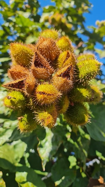 Foto do arquivo: fornecida por 【horóscopo gêmeos】