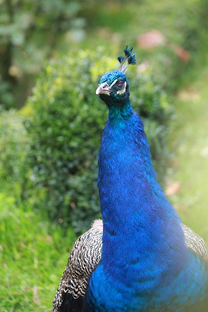 Foto do arquivo: fornecida por 【concurso da lotofácil vinte e seis sessenta e quatro】