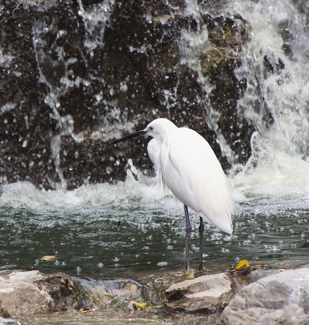 Foto do arquivo: fornecida por 【diamondjo】