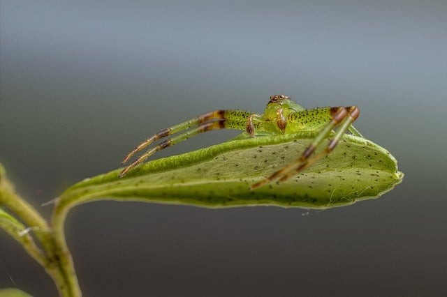 Foto do arquivo: fornecida por 【resultado da loteria dos sonhos de 11】