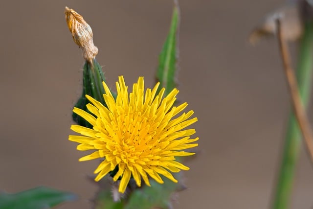 loterias cassino