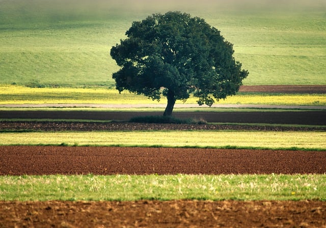 Foto do arquivo: fornecida por 【resultado da mega sena de sabado】