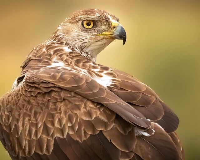 Foto do arquivo: fornecida por 【Crédito grátis no registro sem precisar pagar】