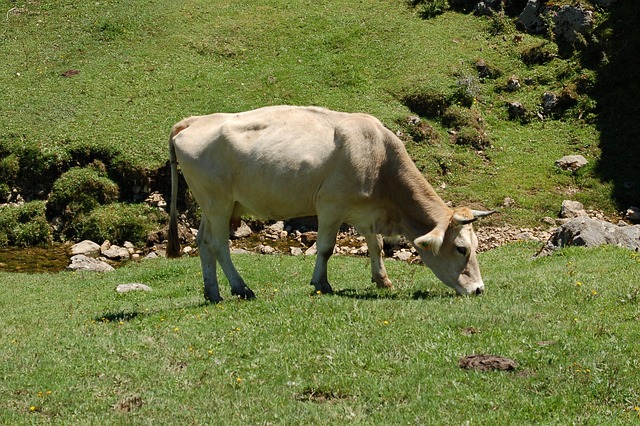 Foto do arquivo: fornecida por 【tigrinho bet365】