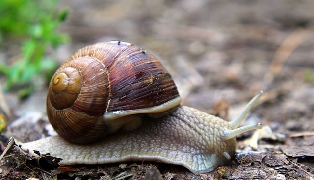 Foto do arquivo: fornecida por 【quanto custa 16 números da lotofácil】