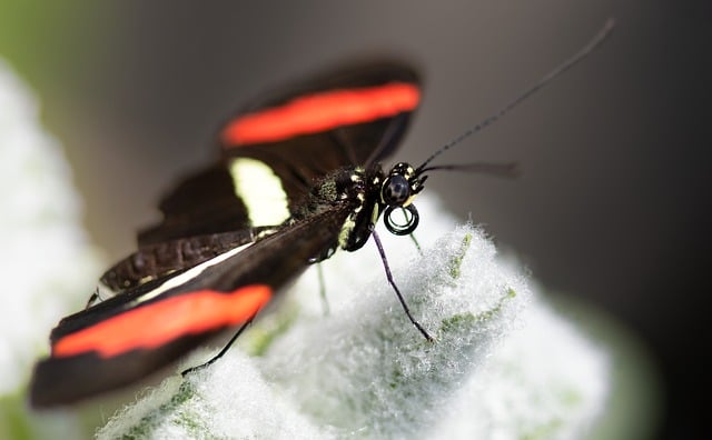 Foto do arquivo: fornecida por 【como ganhar dinheiro rápido】