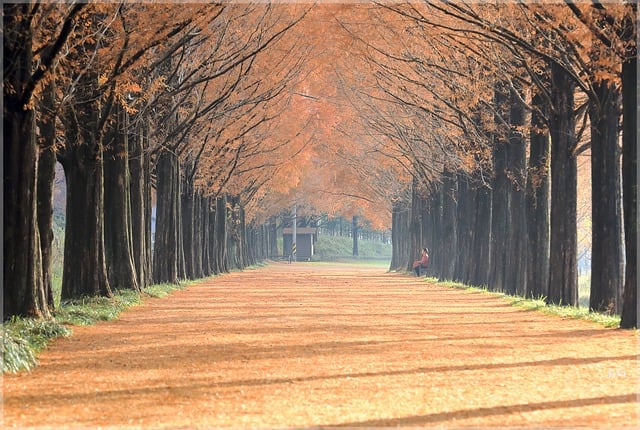 Foto do arquivo: fornecida por 【sulamericana】