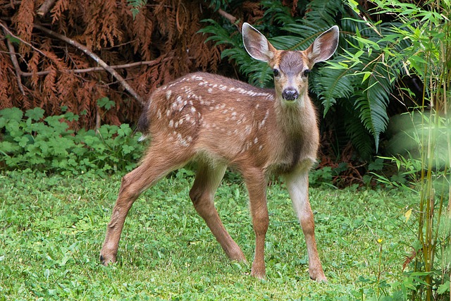 Foto do arquivo: fornecida por 【google quero saber o resultado da mega sena de ontem】