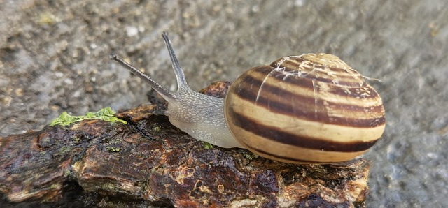 Foto do arquivo: fornecida por 【Plataforma que recompensa registro rápido via pix】