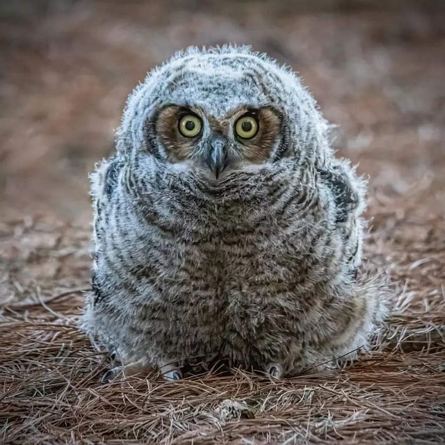 Foto do arquivo: fornecida por 【Jogo que oferece lucros sem depósito inicial】